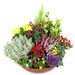 jardi dome jardinerie services composition fleuris